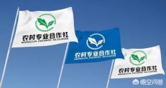 公司股权转让协议范本_「注册农业公司的好处」
                注册企业的好处是什么？ 爱问知识人
