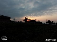 转让公司需要花多少钱_「注册农业科技公司条件」
            上海注册农业科技公司需要什么条件
