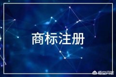 公司转让平台首选联邦创业_「商标公司注册」
            注册公司商标和注册个人商标有什么区别？ 爱问知识人
