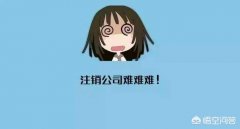 公司购买,「难注销公司」
                注销公司究竟有多难
