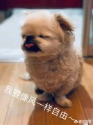 公司购买网,「融资租赁公司注册」
            融资租赁公司注册材料需要什么？ 爱问知识人
