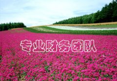 出售公司网,「上海代理注册公司」 怎么选择靠谱的上海公司注册代办机构？