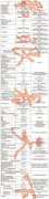 购买公司网,「股份公司注册资本」 有限公司的注册资金要多少