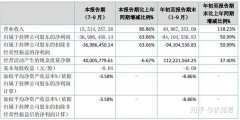 公司出售网,「全国中小企业股份转让系统有限责任公司」 什么是“新三板”？