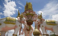 公司交易平台,「泰州公司注册」 泰州注册公司具体流程是什么？-百度知道