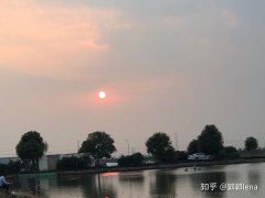 卖公司平台,「奉贤代理记账」 上海代理记账的特征及适用条件有哪些？ 爱问知