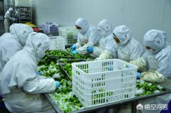 买公司价格,「农业公司注册」 我想注册个生态农业发展有限公司怎么注？我想