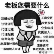 公司交易,「免费代理记账」 代理记账是什么意思？ 爱问知识人