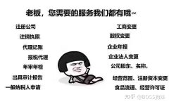 出售公司平台,「公司怎么代理记账」 代理记账的条件是什么？ 爱问知识人