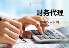 购买公司网,「财务记账代理公司」 财税代理记账公司跟会计师事务所哪个比较