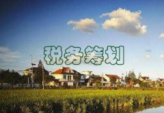 买卖公司,「上海税收筹划」 做好税收筹划需要注意什么？ 爱问知识人
