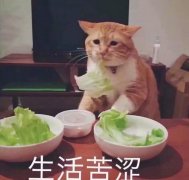 公司购买网,「个人避税」 个人如何合理避税 有哪些个人合理避税的方法
