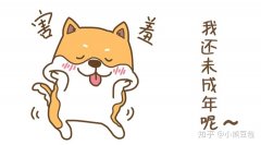 企业转让网,「办理资质条件」 办理办学资质需要什么条件-百度知道